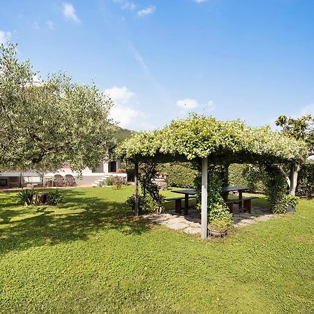 Mansarda Albero Verde Con Piscina Casanova Lerrone Buitenkant foto