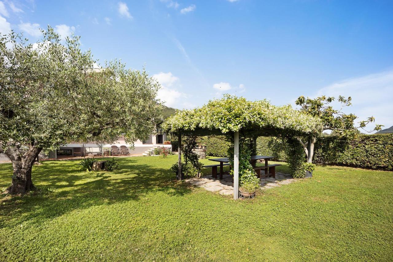 Mansarda Albero Verde Con Piscina Casanova Lerrone Buitenkant foto