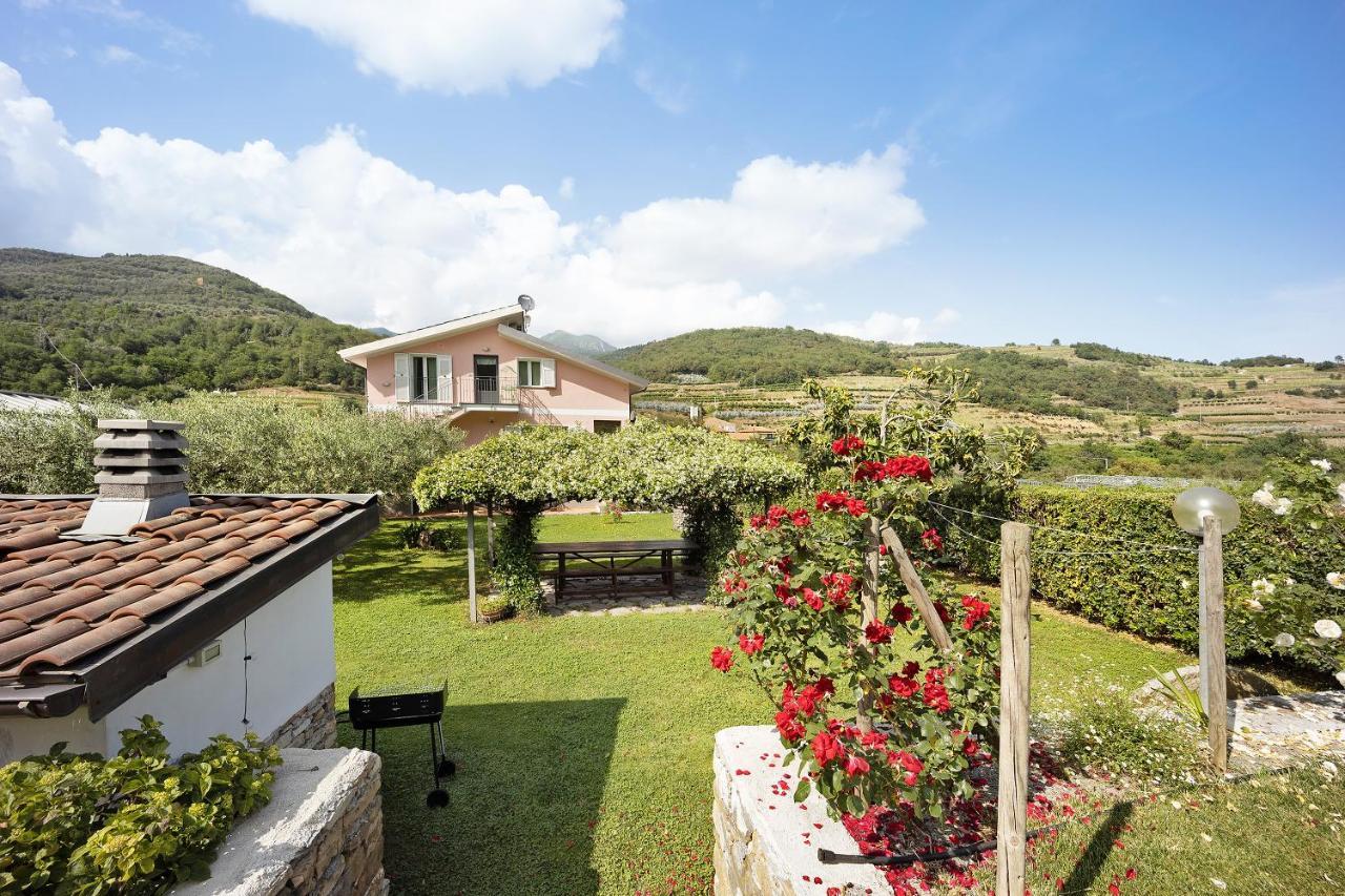 Mansarda Albero Verde Con Piscina Casanova Lerrone Buitenkant foto